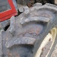 TRATTORE CAMPO APERTO FIAT 50 / 66 S DT