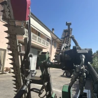 CIMATRICE USATA FAMA