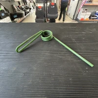 DENTE ANTERIORE ERPICE SEMINATRICE