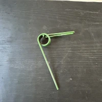 DENTE ANTERIORE ERPICE SEMINATRICE