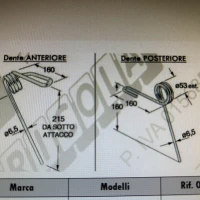 DENTE ANTERIORE ERPICE SEMINATRICE