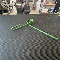 DENTE POSTERIORE ERPICE SEMINATRICE