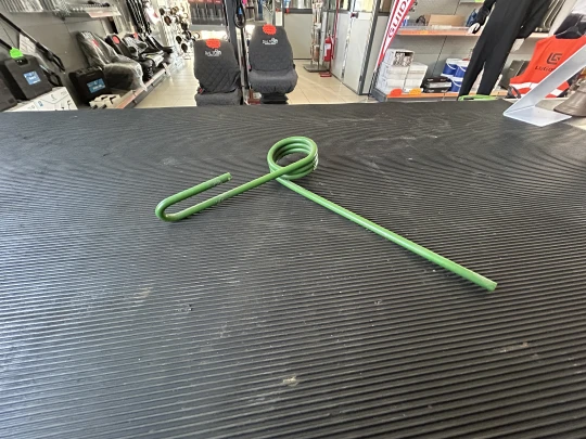 DENTE POSTERIORE ERPICE SEMINATRICE