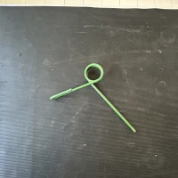 DENTE POSTERIORE ERPICE SEMINATRICE