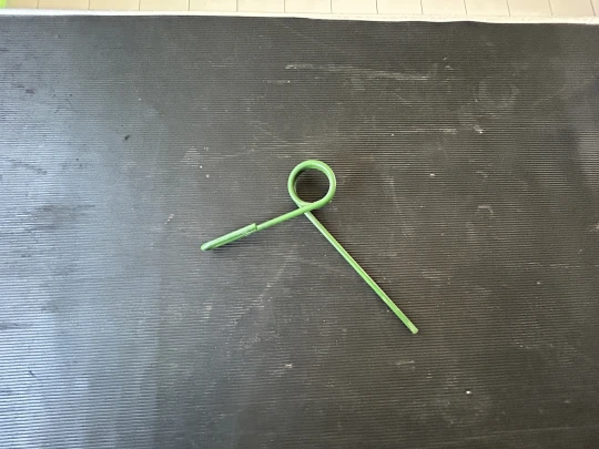 DENTE POSTERIORE ERPICE SEMINATRICE