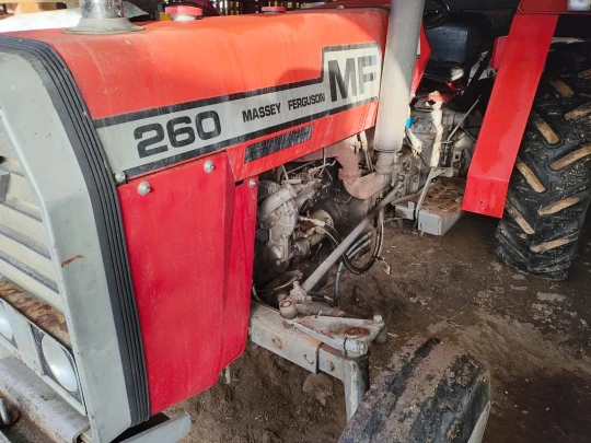 TRATTORE CAMPO MASSEY FERGUSON 260 2RM