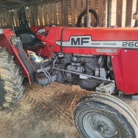 TRATTORE CAMPO MASSEY FERGUSON 260 2RM