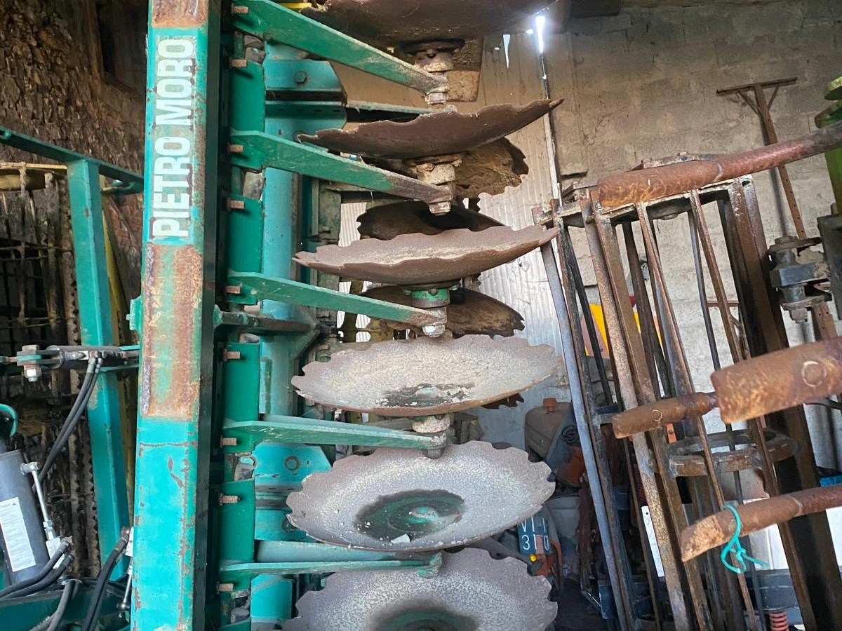 DISCHIERA PIETRO MORO